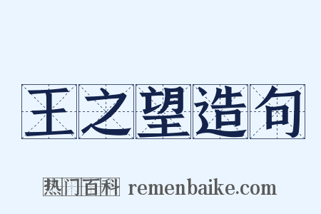 王之望造句是什么意思的图片